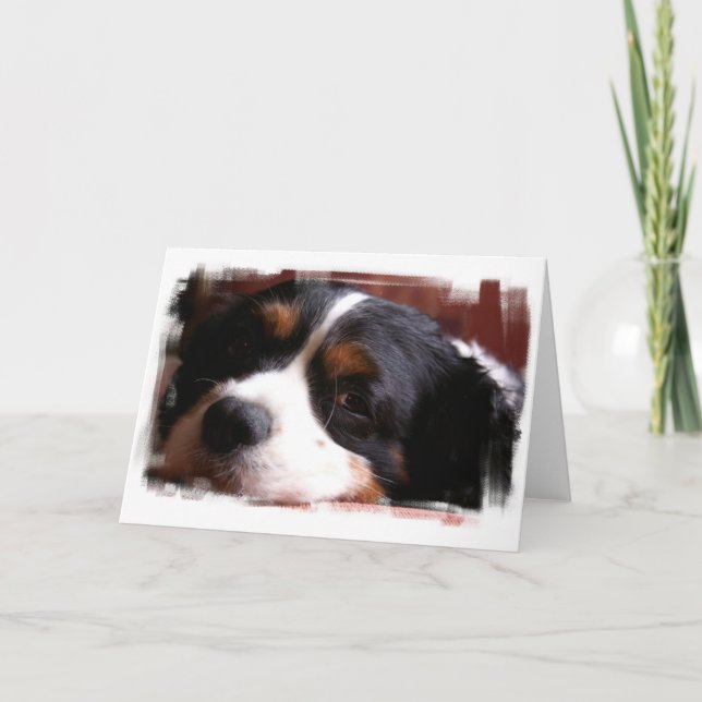 King Charles Cavalier Spaniel Greeting Card (Front)