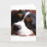 King Charles Cavalier Spaniel Greeting Card