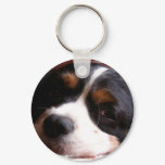 King Charles Cavalier Spaniel Keychain