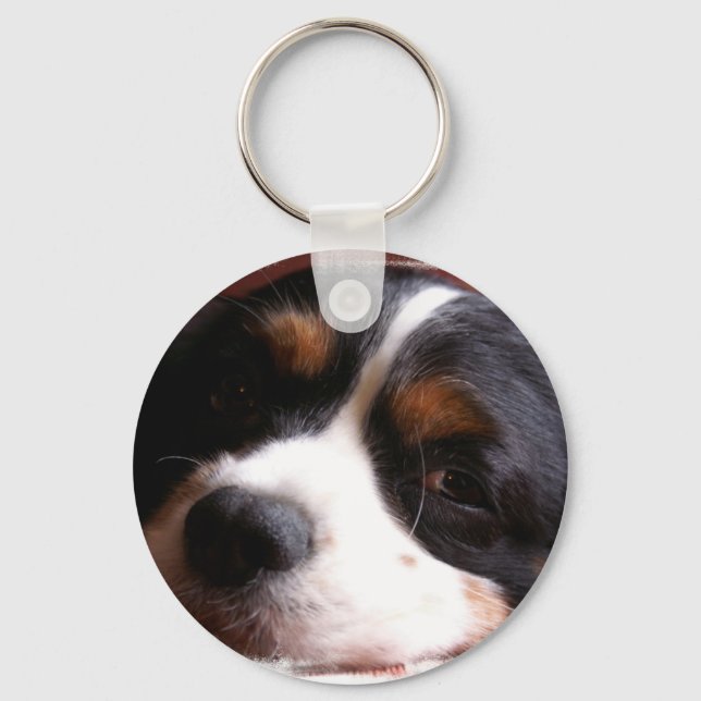 King Charles Cavalier Spaniel Keychain (Front)