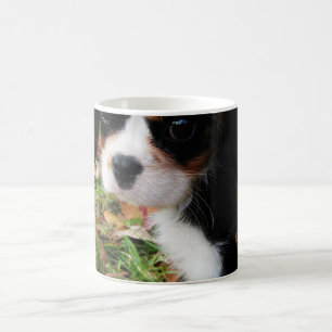 King Charles Cavalier Spaniel Mug