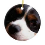 King Charles Cavalier Spaniel Ornament