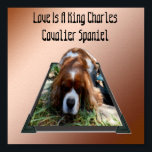 King Charles Cavalier Spaniel, Pop Out Art Poster<br><div class="desc">Pictured in a popout art design is a King Charles Cavalier Spaniel, with the words love is a Cavalier Spaniel</div>