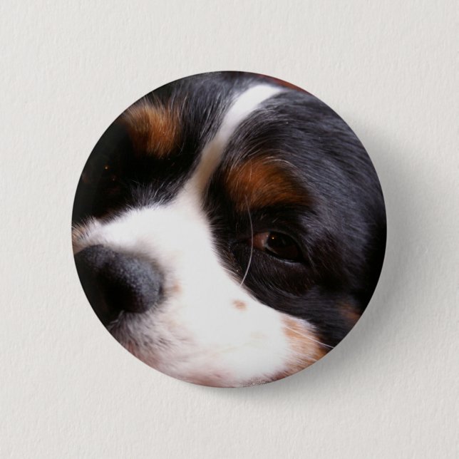King Charles Cavalier Spaniel Round Button (Front)