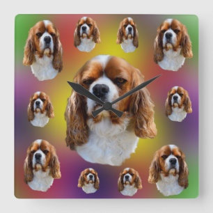 King Charles Cavalier Spaniel, Square Wall Clock