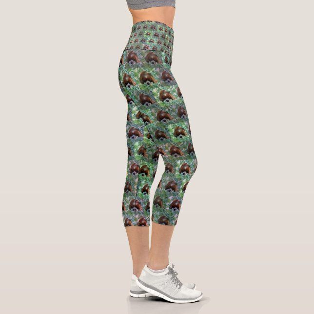 King Charles Cavalier Spaniel With Fern Leaves, Capri Leggings (Right)