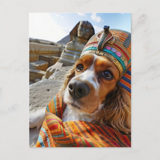 King Charles Cocker Spaniel in Egypt Holiday Postcard (Front)