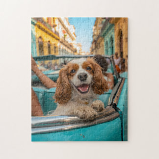 King Charles Cocker Spaniel Takes Selfies in Cuba Jigsaw Puzzle