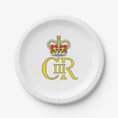 King Charles III UK paper plate _ street party