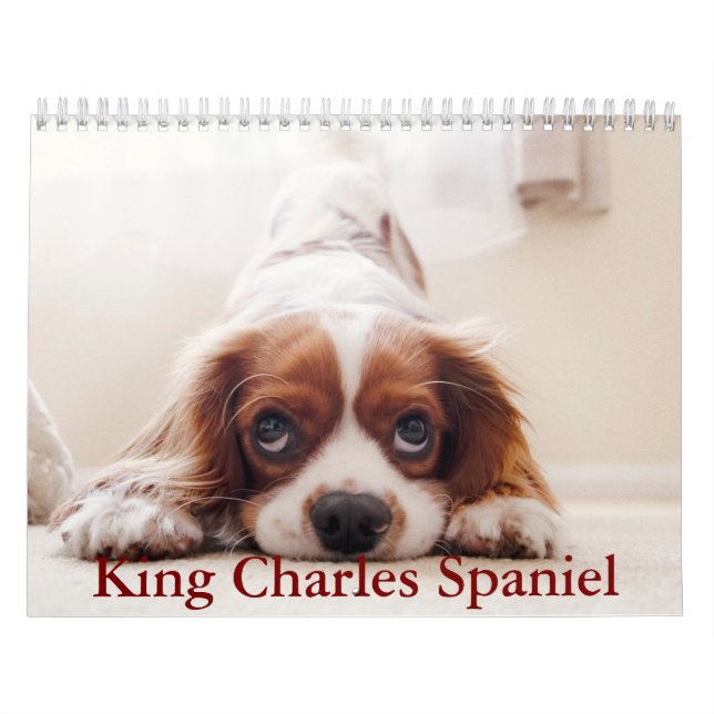 King Charles Spaniel Calendar (Cover)