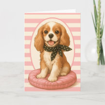 King Charles Spaniel