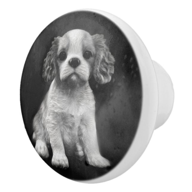 King Charles Spaniel cavalier  puppy Ceramic Knob (Right)