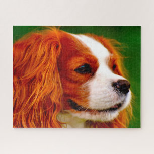 King Charles Spaniel Dog. Jigsaw Puzzle