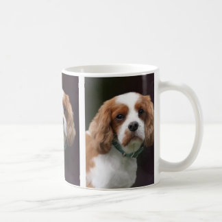 King Charles Spaniel Mug