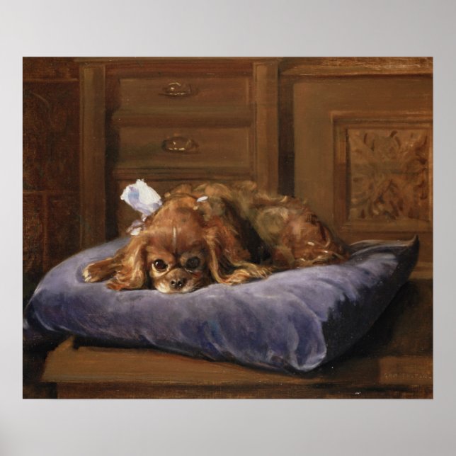 King Charles Spaniel Poster (Front)