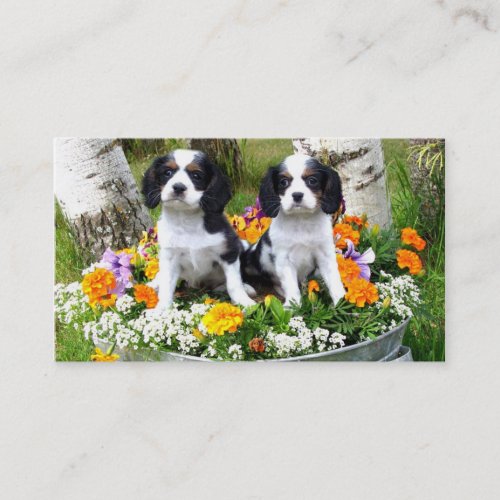 King Charles Spaniel puppies Business Card Template