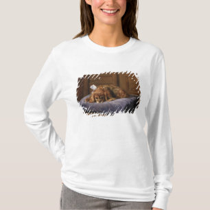 King Charles Spaniel T-Shirt