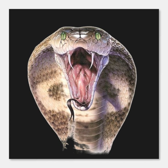 King Cobra Custom Color Black Wallpaper (Front)