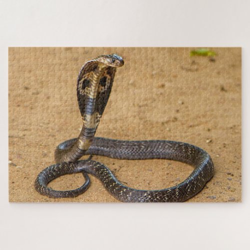 King Cobra Jigsaw Puzzle