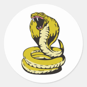 king cobra snake angry attacking classic round sticker