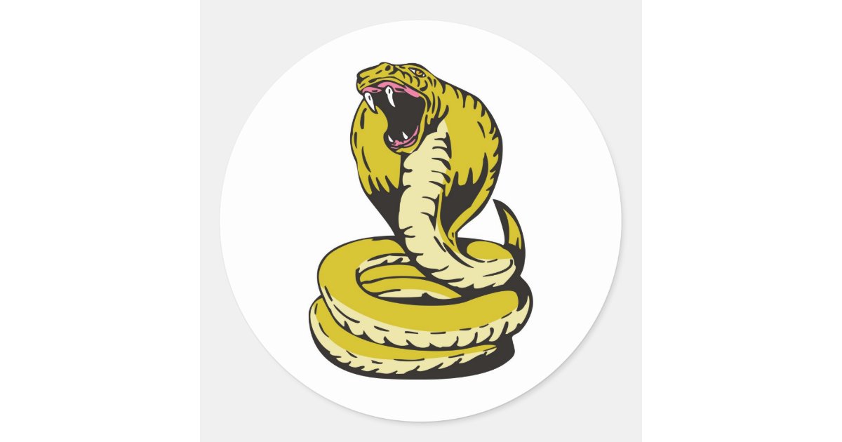 king cobra snake angry attacking classic round sticker | Zazzle