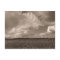 King Cotton Rural South Postcard