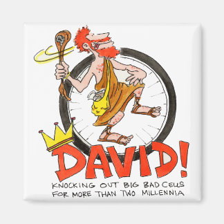 King David Pin Magnet