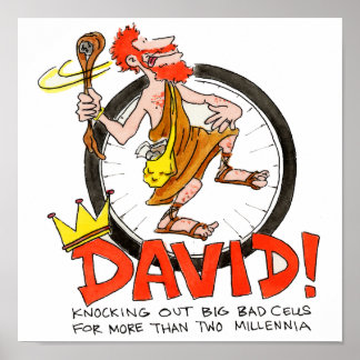 King David Poster