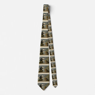 King Duck (King Eider) Audubon's Birds of America Neck Tie