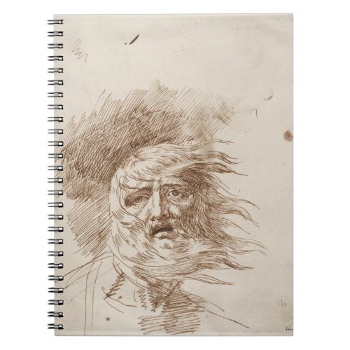King Lear in the Storm pen and bistre ink on pape Notebook