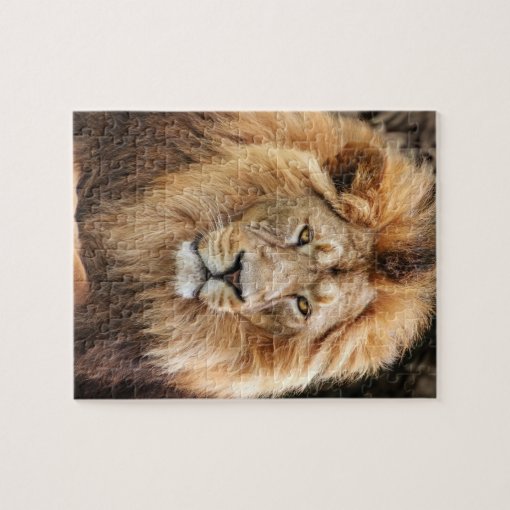 King Lion Photograph Jigsaw Puzzle | Zazzle