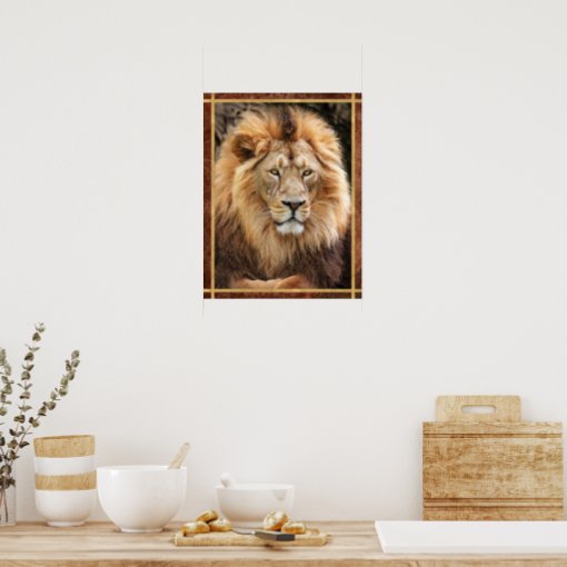 King Lion Photograph Poster | Zazzle