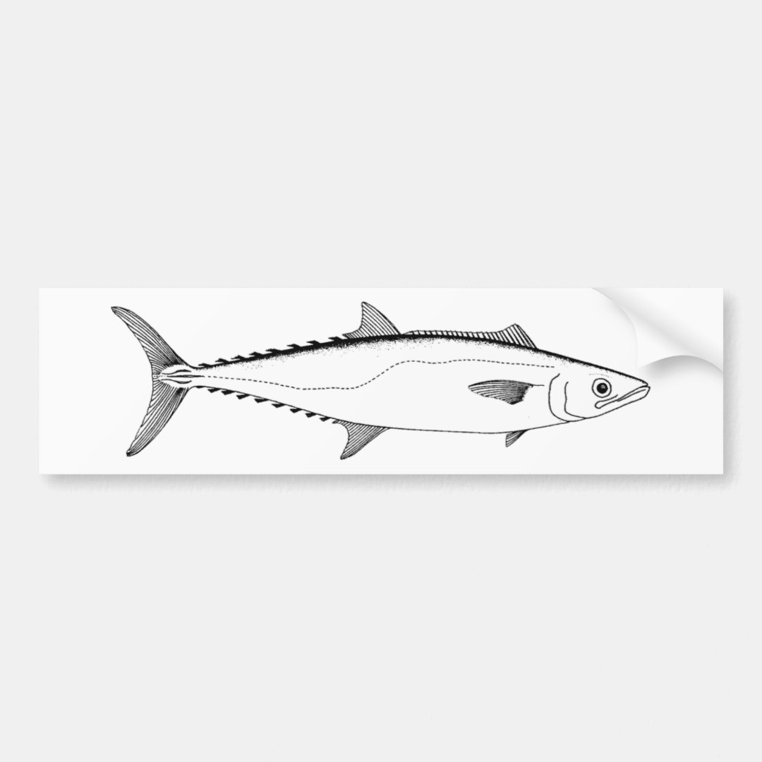 King Mackerel Line Art Bumper Sticker Zazzle
