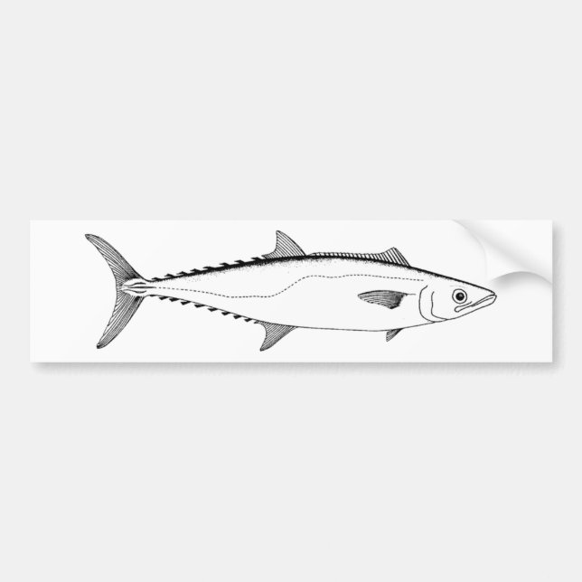 King Mackerel Line Art Bumper Sticker (Front)