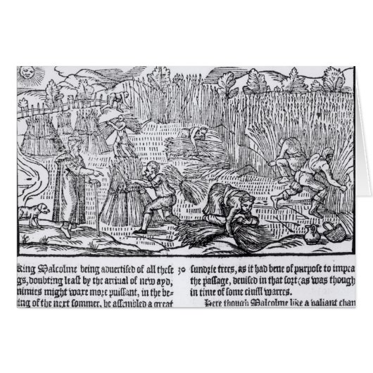 King Malcolm of Scotland (Front Horizontal)