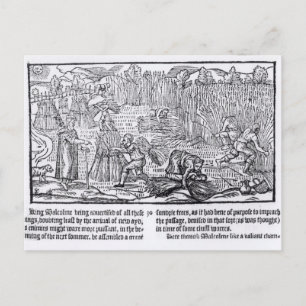 King Malcolm of Scotland Postcard