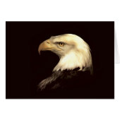 king of flyer (Front Horizontal)