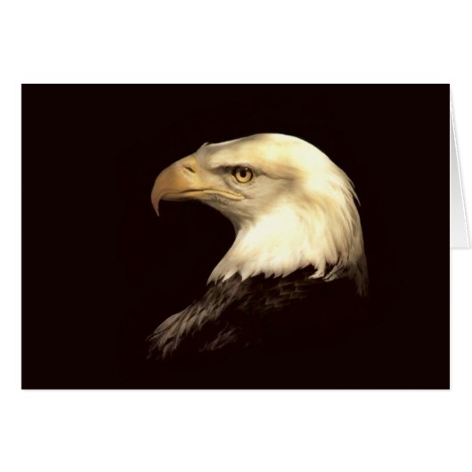 king of flyer (Front Horizontal)