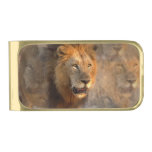 King of Jungle Gold Finish Money Clip