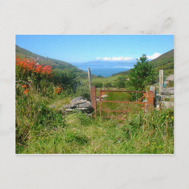 King Of Kerry Overlooking Dingle Day Postcard (Front)