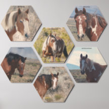 KING OF SAND WASH BASIN