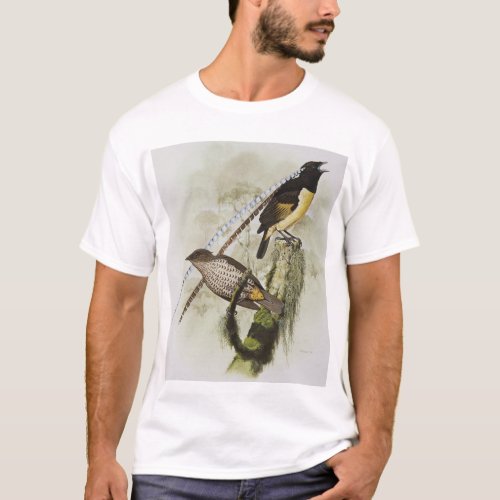 King of Saxony Bird of Paradise male  female T_Shirt