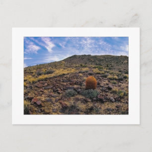 " King Of The Hill " Postcard