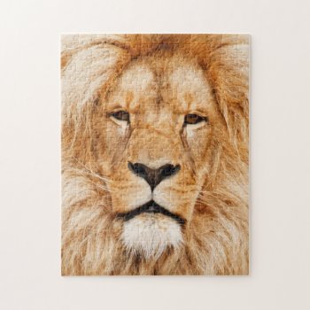 King Of The Jungle Lion Photo Jigsaw Puzzle by RiverJude at Zazzle