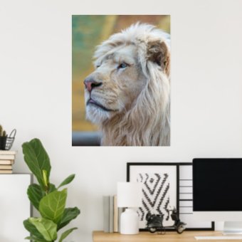 King of the Jungle Lion Print Poster Artwork Mural | Zazzle