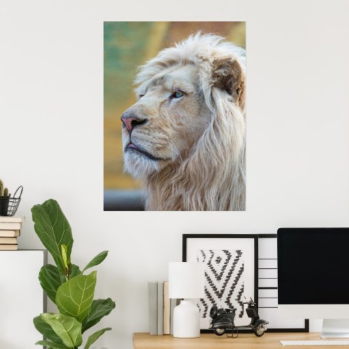 King Of The Jungle Lion Print Poster Artwork Mural 