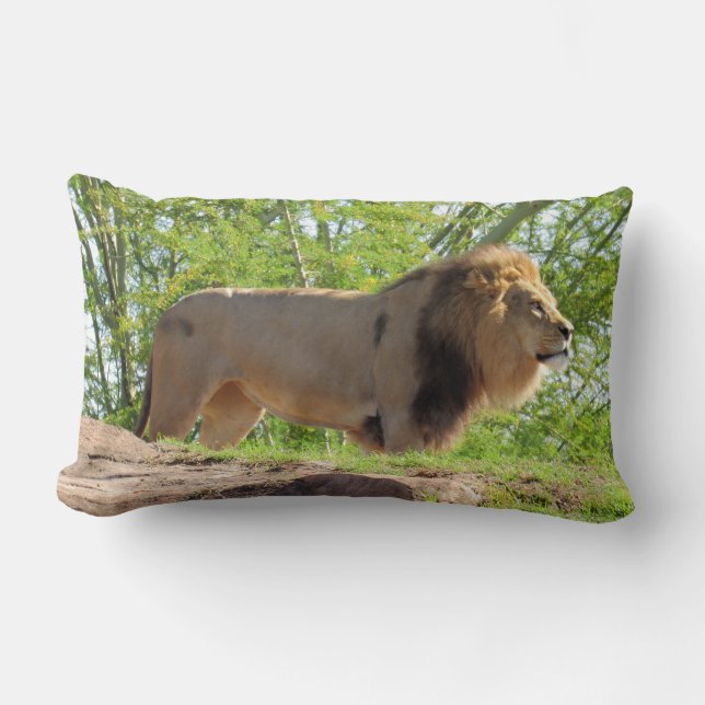 King of the Jungle Lumbar Pillow (Lion) (Front)