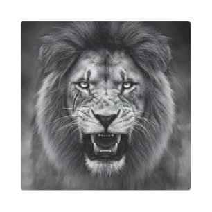 King of the Jungle Metal Print