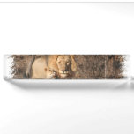 King of the Jungle Name Plate
