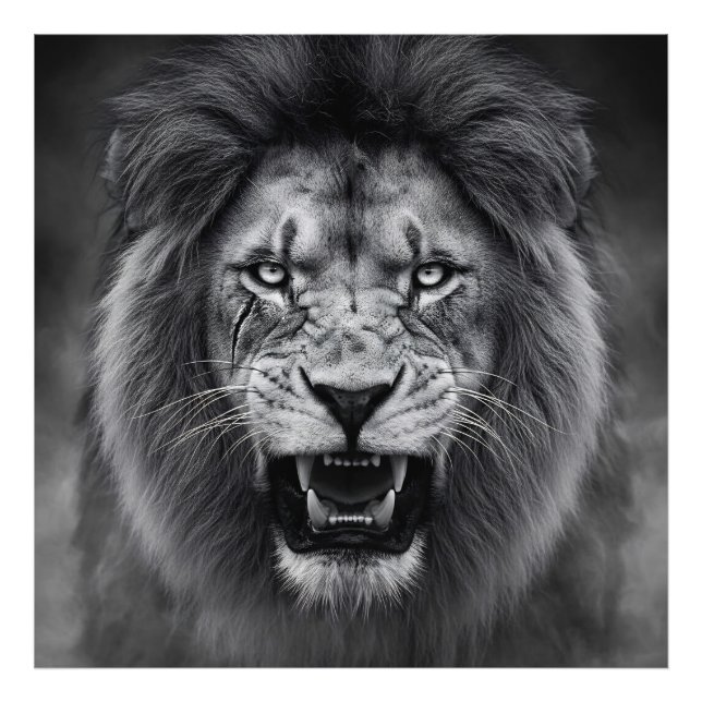 King of the Jungle Photo Print (Front)